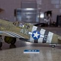 05-2026 (31)